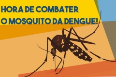 FOTO-dENGUE