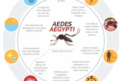 combate-ao-aedes-aegypti-2